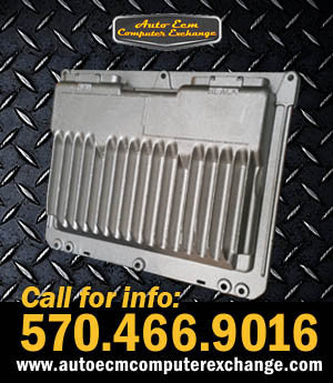 16196388 ECU