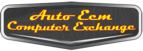 Auto ECM Computer Exchange